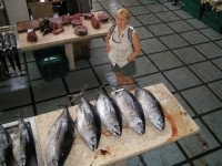 /album/fotogalerie-2-den/funchal-trznice-3-jpg/