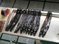 /album/fotogalerie-6-den/funchal-trznice-3-jpg1/