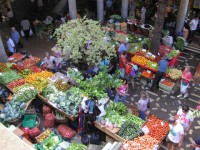 /album/fotogalerie-6-den/funchal-trznice-4-jpg1/