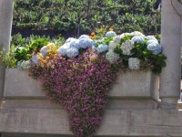 /album/fotogalerie-6-den/kvetiny-jpg/